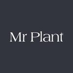 Mr. Plant